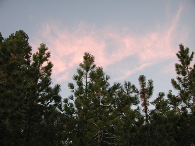 dscn1409